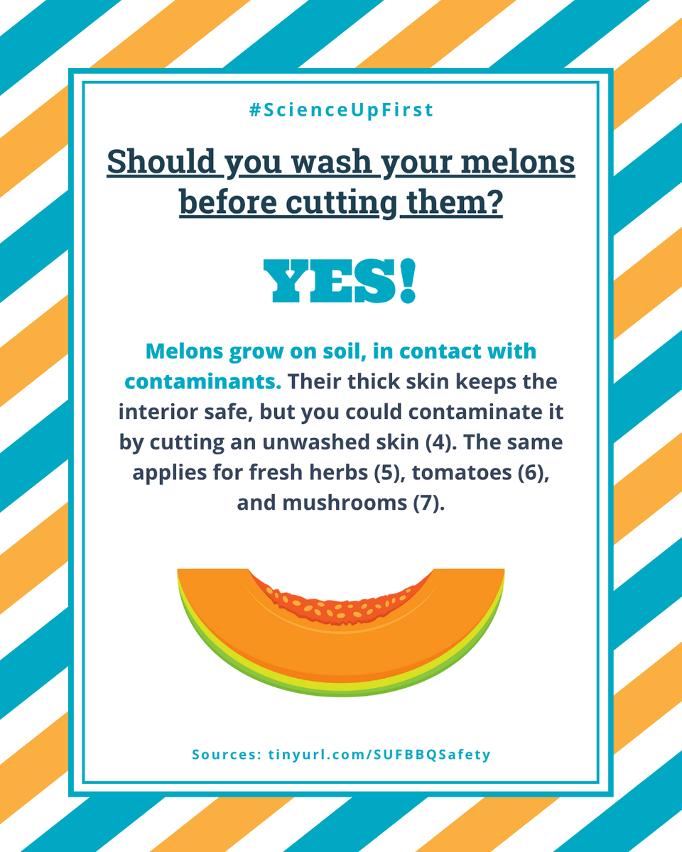 ScienceUpFirst's tweet image. ‘Tis the season of delicious seasonal fruits and veggies! A good reminder to make sure they are clean!
Want even more food safety tips? 👇
scienceupfirst.com/nutrition/bbq-…
#ScienceUpFirst
