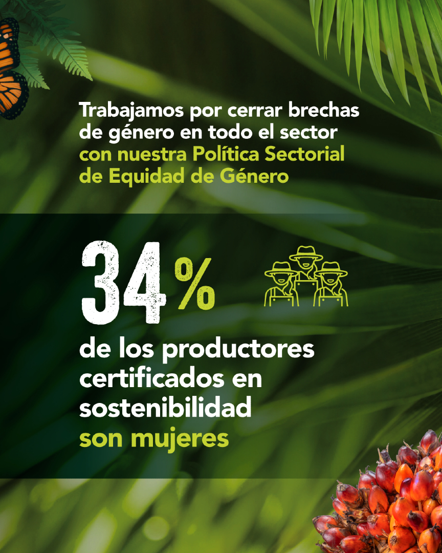 FedepalmaOrg's tweet image. Cada hectárea cultivada con palma de aceite en Colombia es sinónimo de sostenibilidad, empleo digno y desarrollo para el campo. 🌱🌾 #PalmaSostenible #OrgulloPalmero