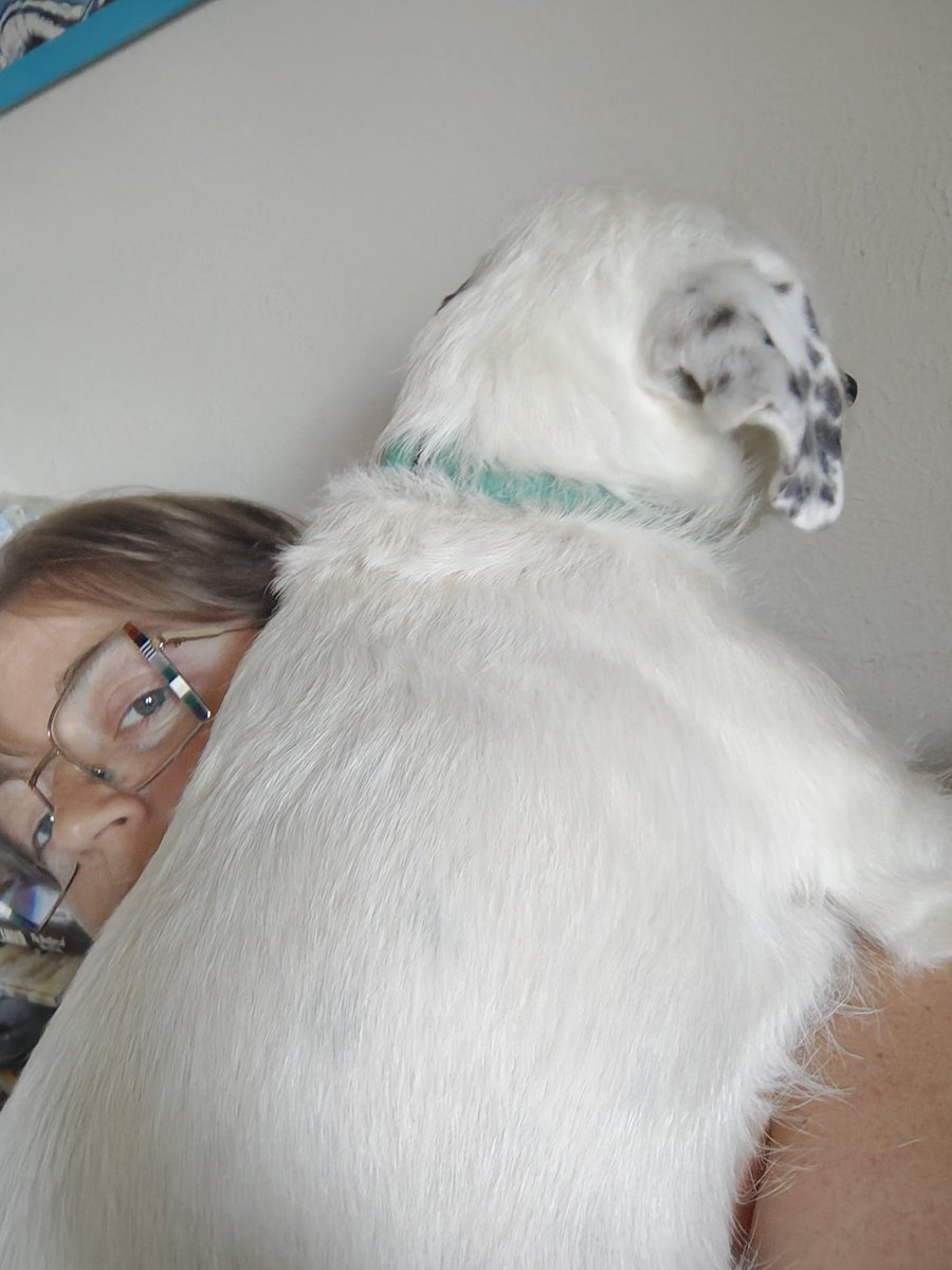 AbigailFTaylor's tweet image. Reading a horror novel but you adopted a service animal & he's here to help.