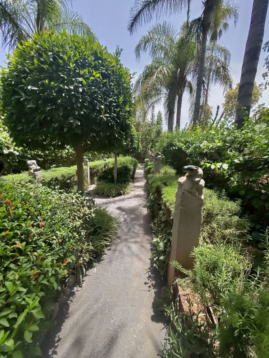 gemperlipascal's tweet image. Jardin Anima, magnifique 
@jardinanima