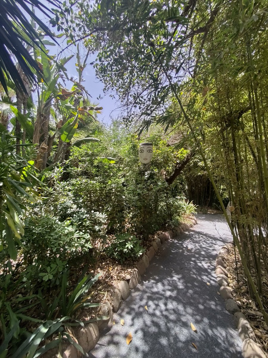 gemperlipascal's tweet image. Jardin Anima, magnifique 
@jardinanima