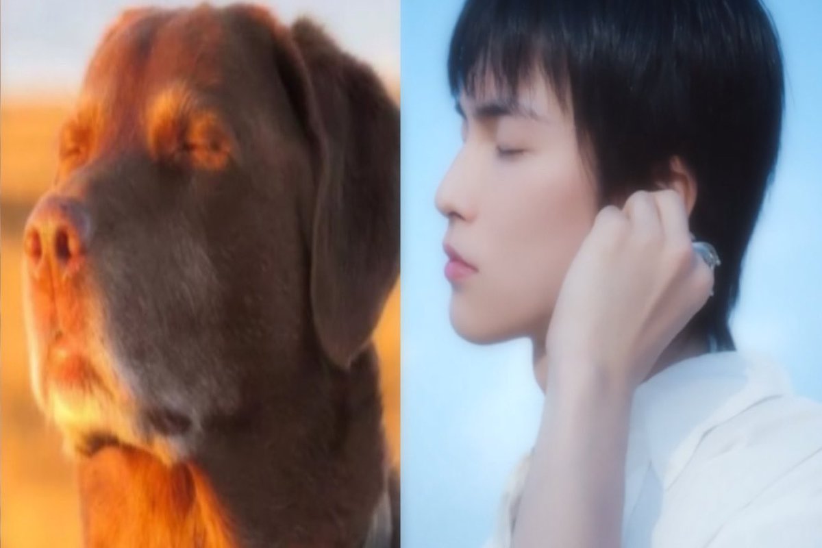 hongjjanu's tweet image. key boa yves comebacks overlapping with xnghan ... give me those tiktok challenges