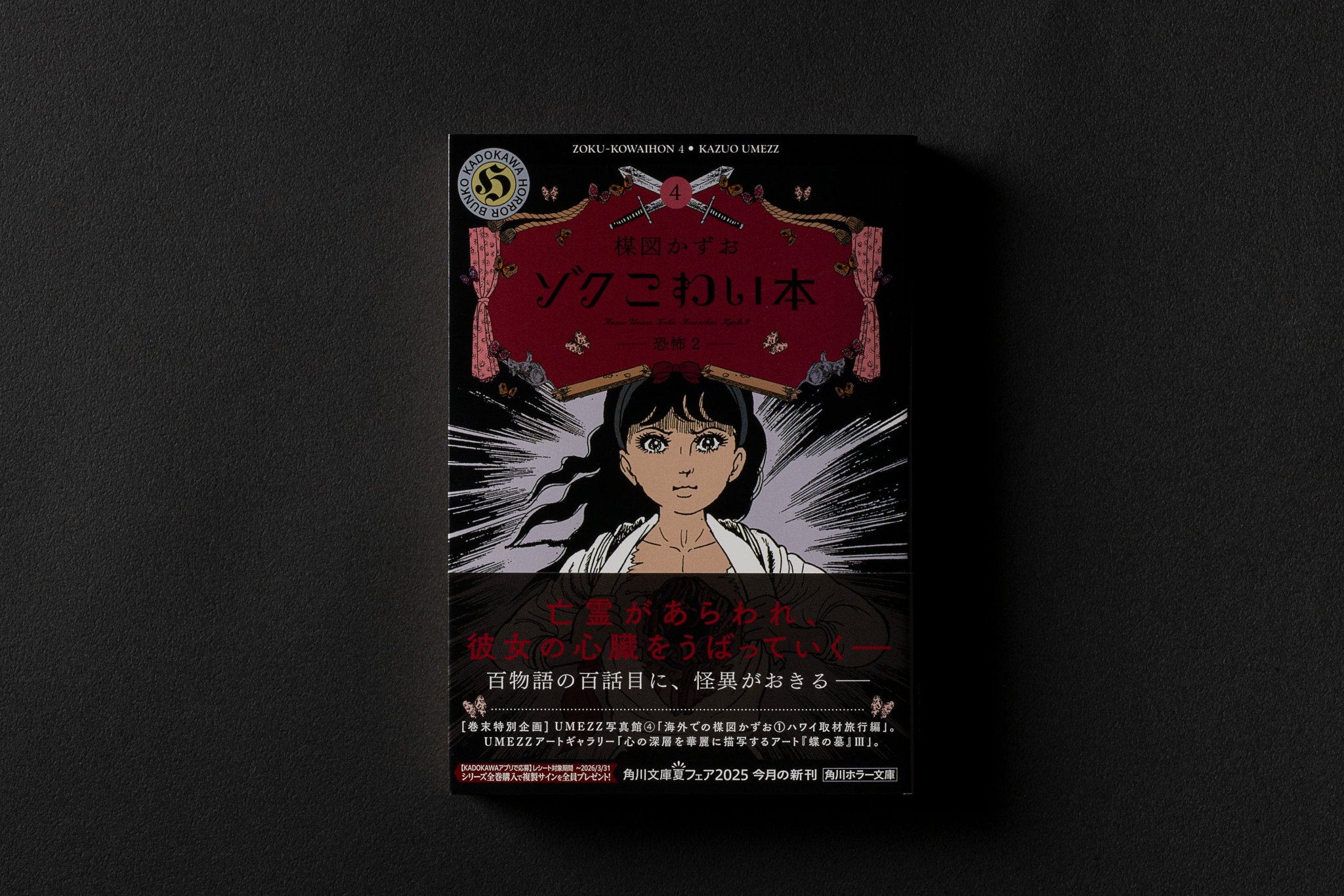 楳図かずお 恐怖 ①② パーフェクションシリーズ 初版 帯付 bookカバー付 楳図かずお 恐怖 ①② パーフェクションシリーズ 初版 帯付 book
