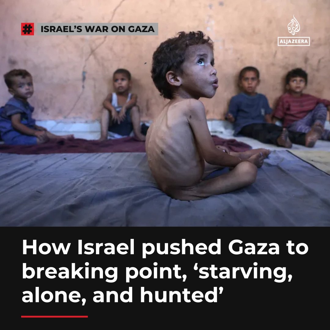 'The consequences of Israel’s actions in Gaza will last generations'

Israeli bombings, starvation and repeated forced displacement of Palestinians has pushed Gaza’s society to the brink, say analysts.

Read here: aje.io/yhogub