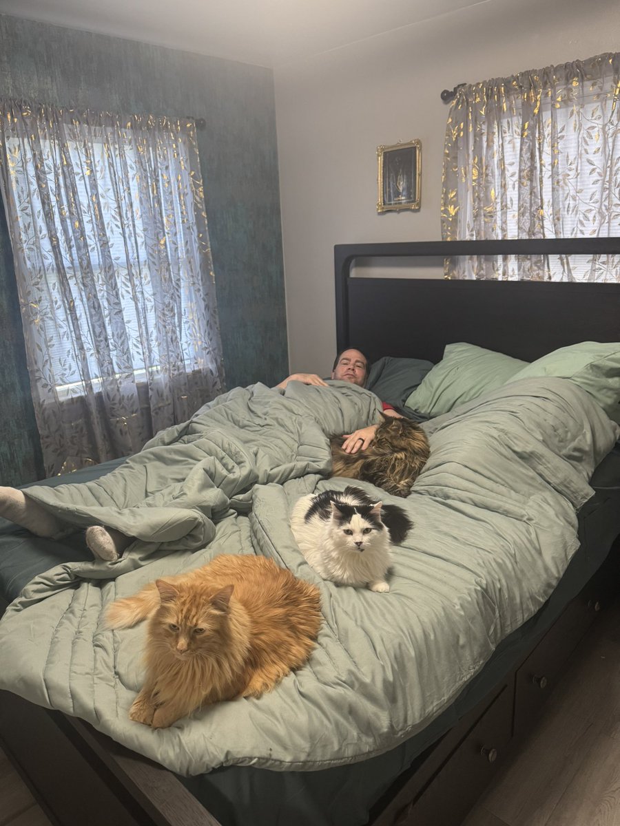 The SWO Productions kitties love to take a nap with me!