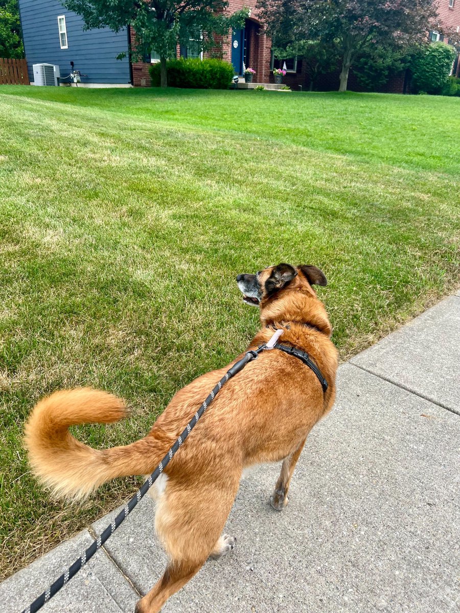 OneCause's tweet image. It’s International Self-Care Day, and the OneCause team is taking time to do what makes us feel our best: pickleball, a mid-day walk, and hanging out with our pups, we’re finding small ways to rest &amp;amp; recharge 💙

How are you practicing self-care today?

#OneTeamOneCause