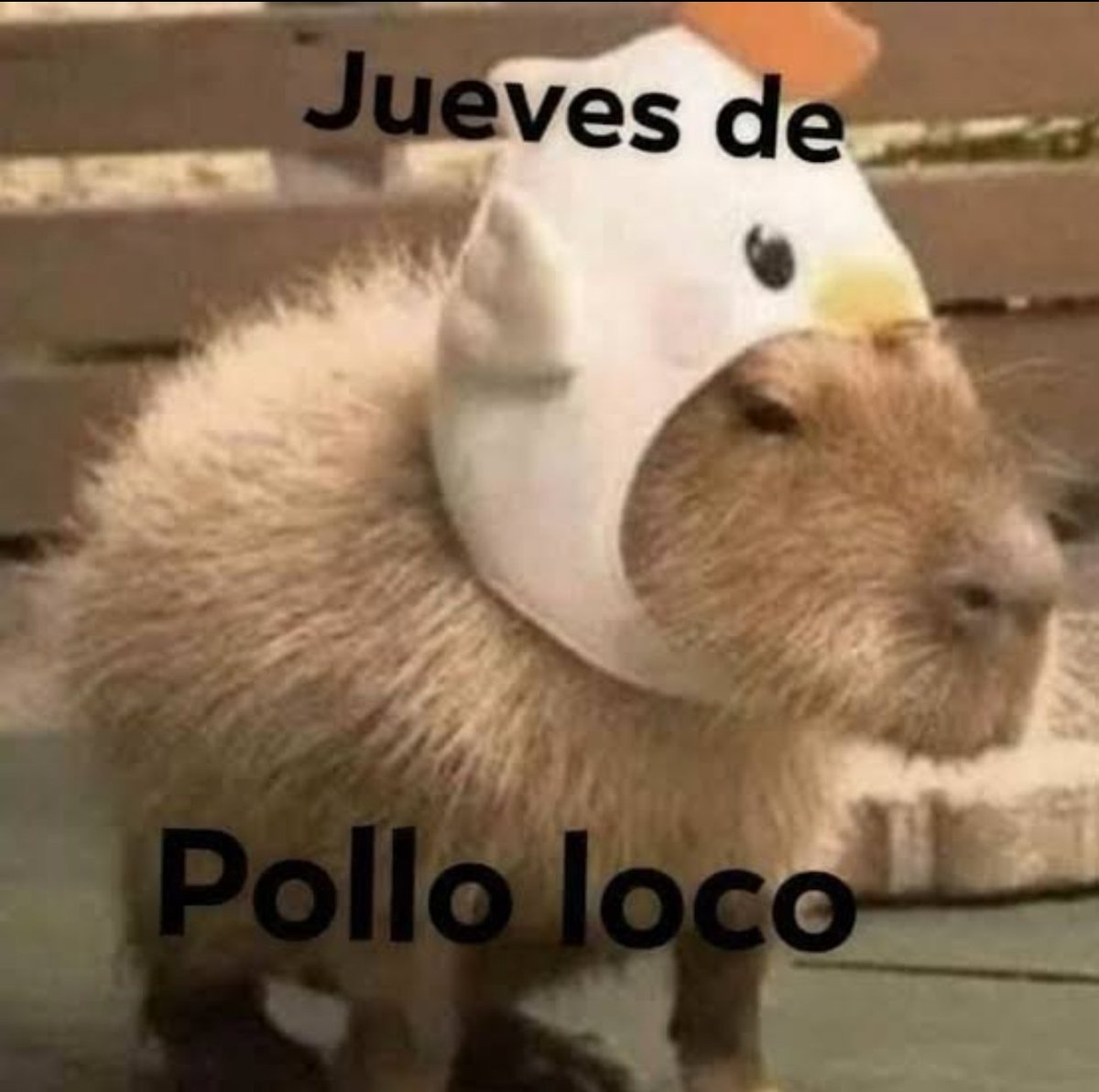 MCHedgehog_'s tweet image. llegó el mejor día de la semana. jueves de pollo y 1/2.