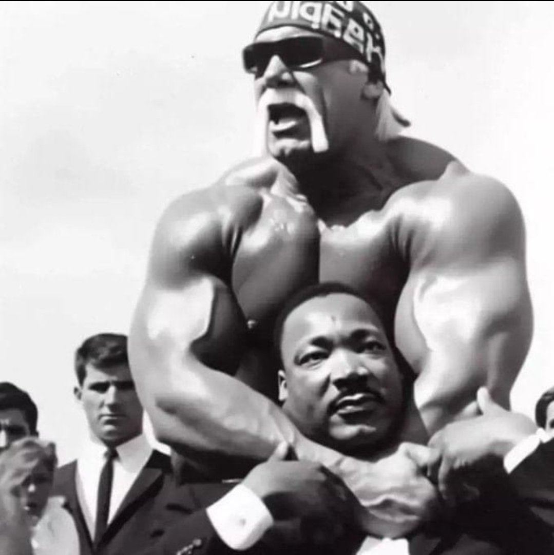 maindissident's tweet image. RIP to the Hulkster.

HH brother.