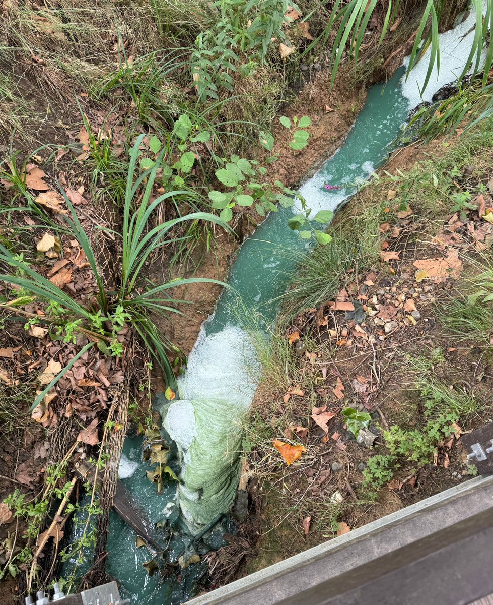 Major pollution incident in Wimbledon Park lake which is owned by Merton Council. Milky blue water with unpleasant smell flowing through the park and into the Wandle.
Word is it's coming from AELTC site as they pack up. 😡