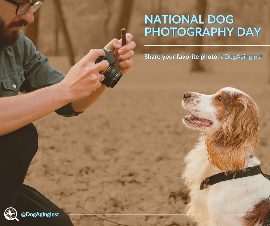 Happy National Dog Photography Day! 🐶📸 Join the fun and share your pet's photo. We love seeing your dog's cute pics!

🔍Learn more about the Dog Aging Institute at dogaginginstitute.org.

#dogphotography #nationaldogphotographyday