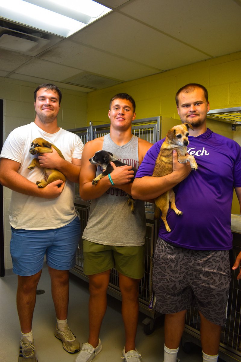 TNTechFootball's tweet image. Tennessee Tech Football takes on Cookeville-Putnam County Animal Shelter!🐶
Thank you for having us! We enjoyed all of the tail wags and play time!💜💛
#AimHigh | #WingsUp