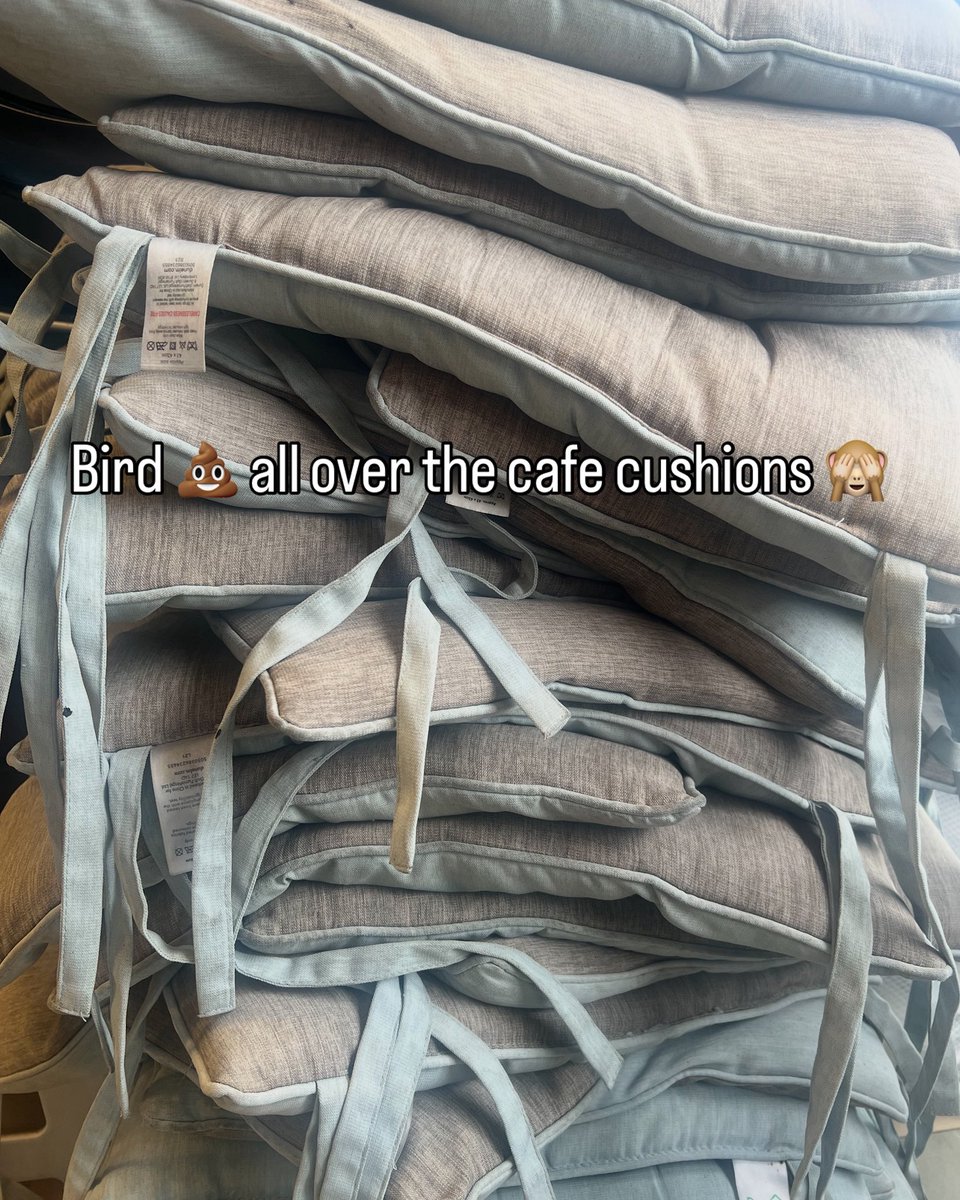 monogramlaundr1's tweet image. We love to get your business laundry looking brand new! On this occasion the cushions may have been left out too long!
TLC & sanitised they look “nearly” new 100% perfect for the next customers to sit & enjoy their coffee!
Your business image IS our business!
@ShitChester