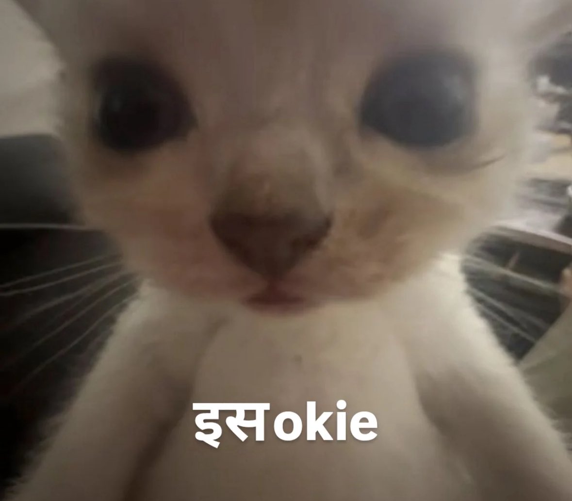 unhingedchipmunk (@amanyayayayayay) on Twitter photo 