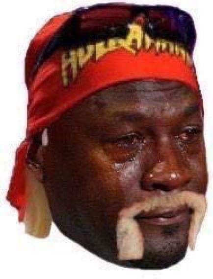 iambearlee's tweet image. This how yall look telling hulk rip