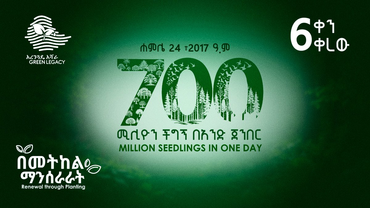 PMEthiopia's tweet image. 6 ቀን ቀረው!
ሐምሌ 24 ፣2017 700 ሚሊዮን ችግኝ በአንድ ጀንበር። እንዘጋጅ!
6 days remaining!
July 31, 2025 #Ethiopia will attempt planting 700 million seedlings in one day. Let’s get ready as the count down begins.
#አረንጓዴዐሻራ
#GreenLegacy
#PMOEthiopia
