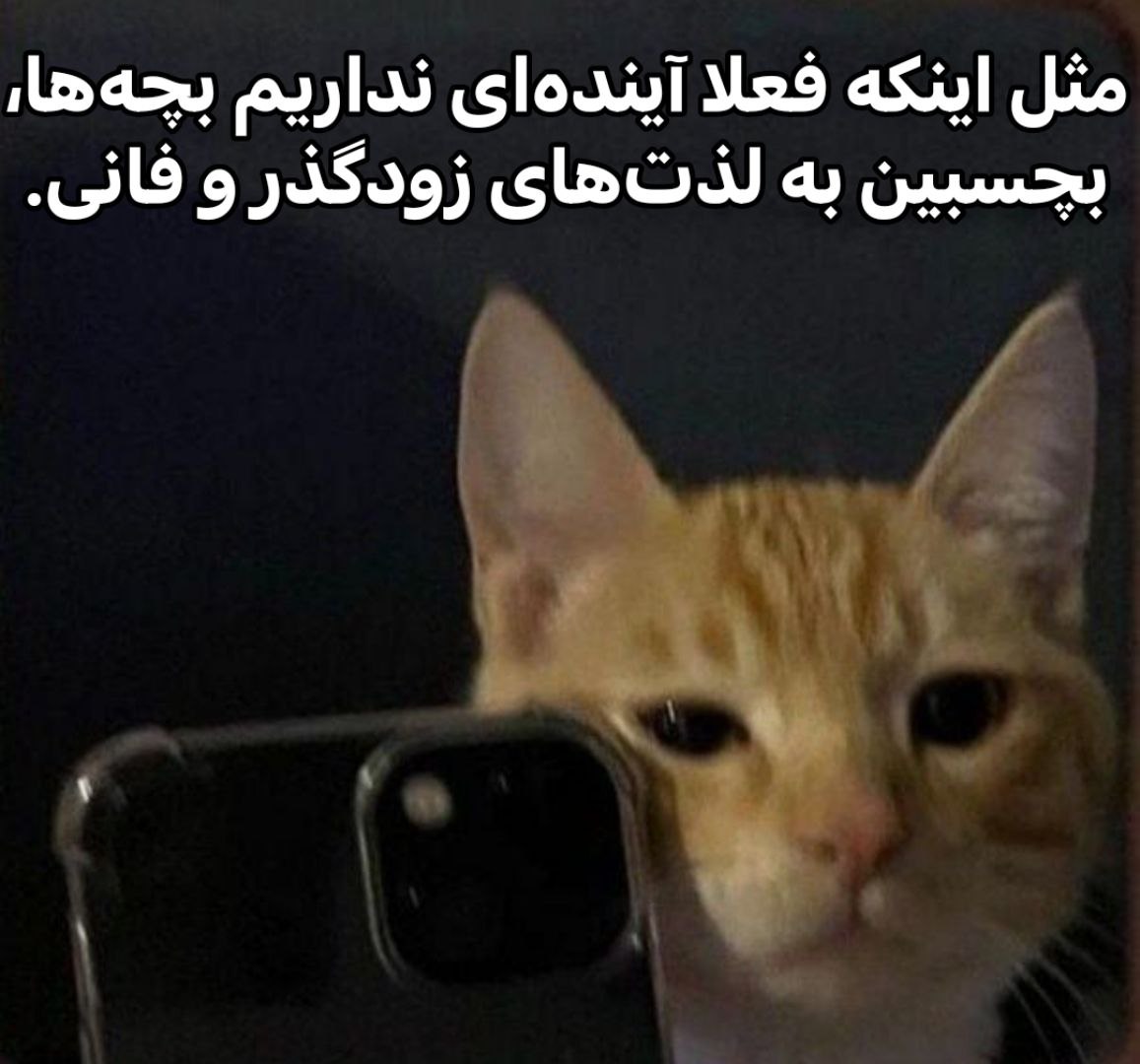 379Talks's tweet image. 
