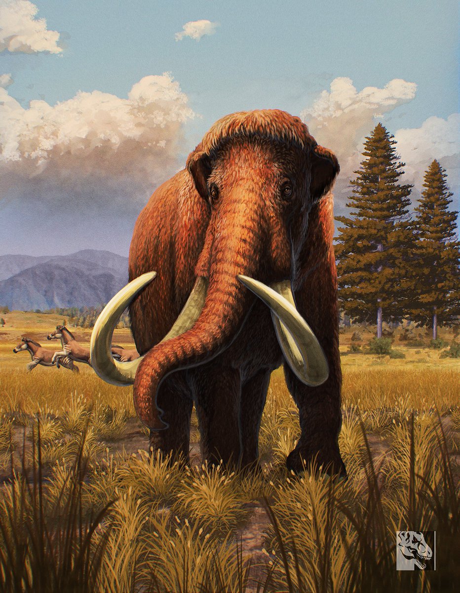 Beast_SculptKit's tweet image. Today we have the epic new Wooly Mammoth package art to show off! Gabriel Ugueto killed it once again with this one. Despite having two different package designs, both the Eons and Beasts of the Cenozoic releases will feature this artwork. @SerpenIllus