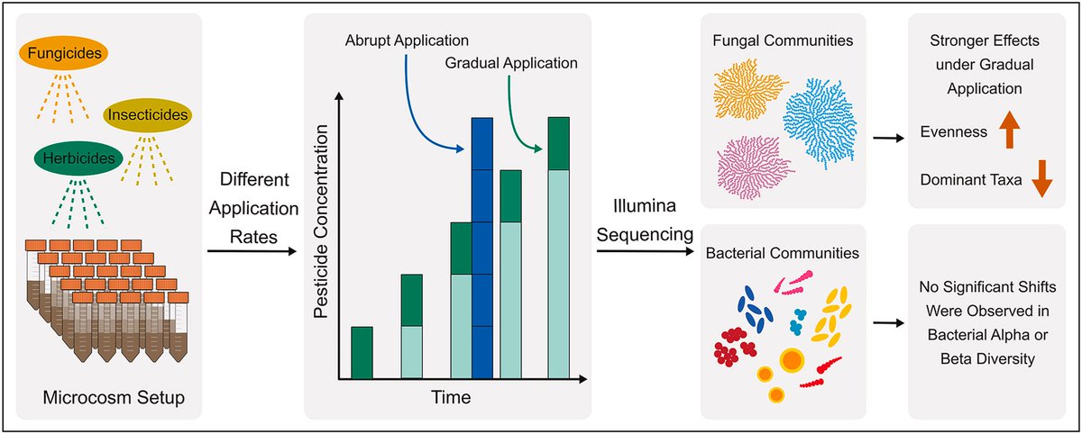 mrillig's tweet image. Paper out in Environmental Pollution:

Riedo et al.
Abrupt versus gradual application of pesticides: effects on soil bacterial and fungal communities

sciencedirect.com/science/articl…