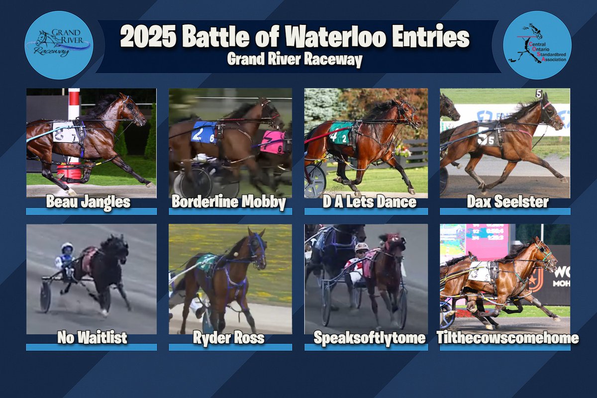 SugarDoyle's tweet image. See BEAU JANGLES in person again? OK then... #HarnessRacing
