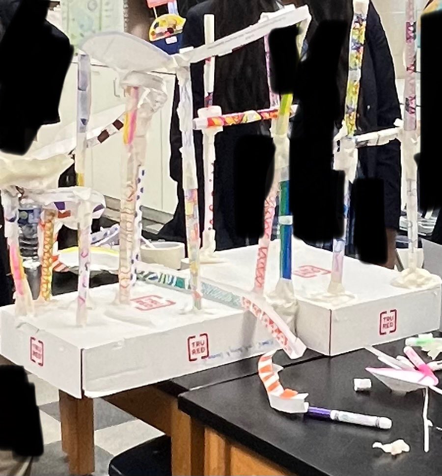 bujee516's tweet image. Thank you! 😊 I’m a third year middle school history and science teacher in Maryland! My students love reading and science labs, like the paper rollercoaster in the picture. Please take a look at our list! 💜#clearthelist amazon.com/hz/wishlist/ls…