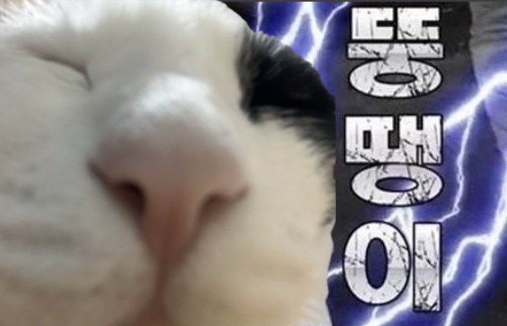 교수님 따까리 (@dead_assistant) on Twitter photo 