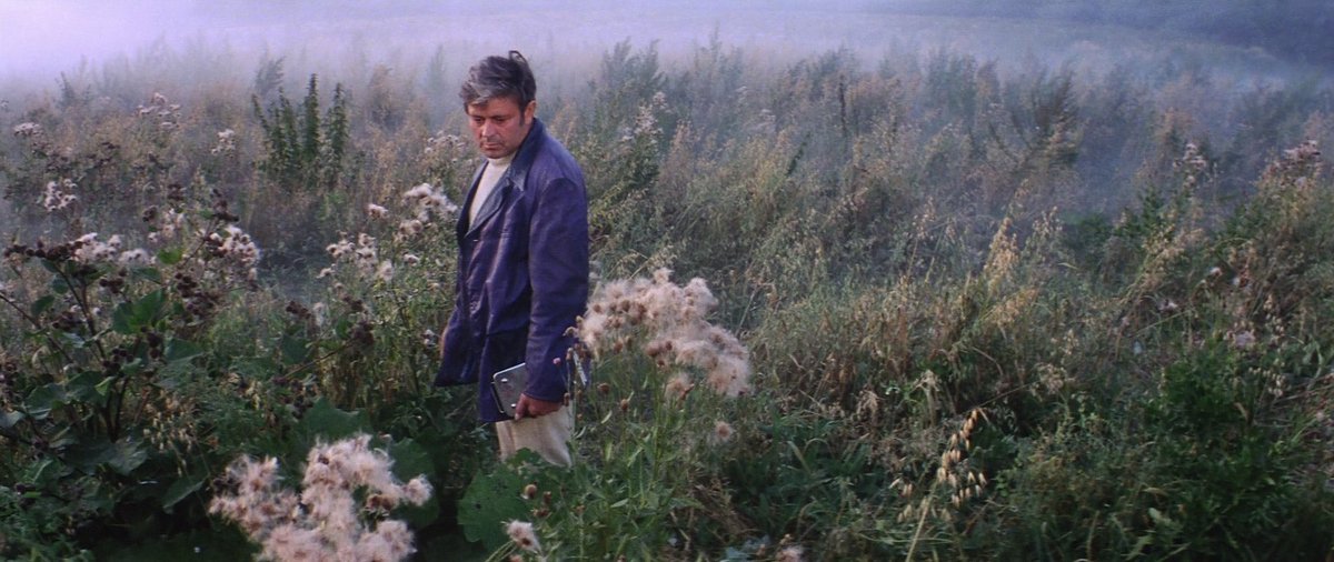 elsa bleda (@elsableda) on Twitter photo 