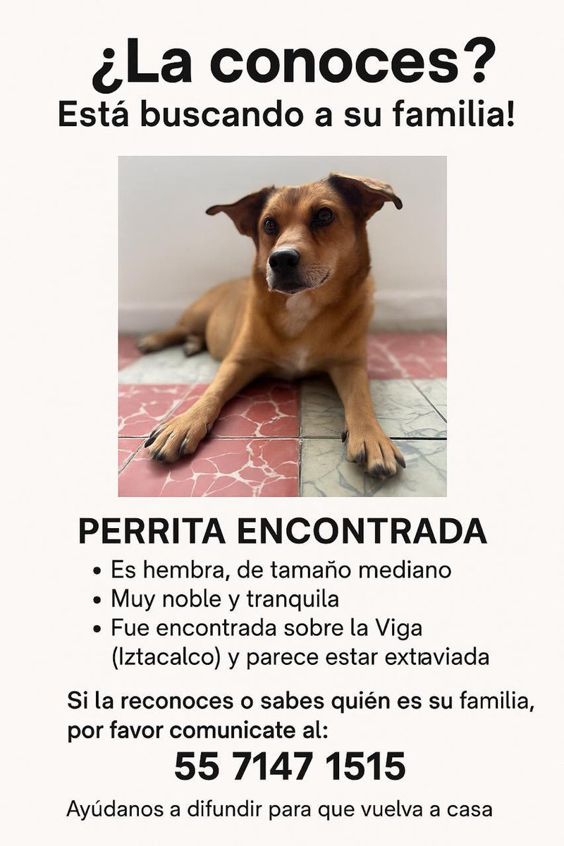 oscarszarate's tweet image. Por favor, si pueden compartir (CDMX) 🐶