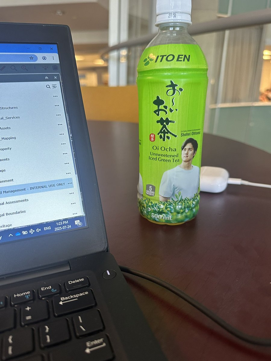 skogmannn's tweet image. Hey look it’s Shohei Ocha-ni