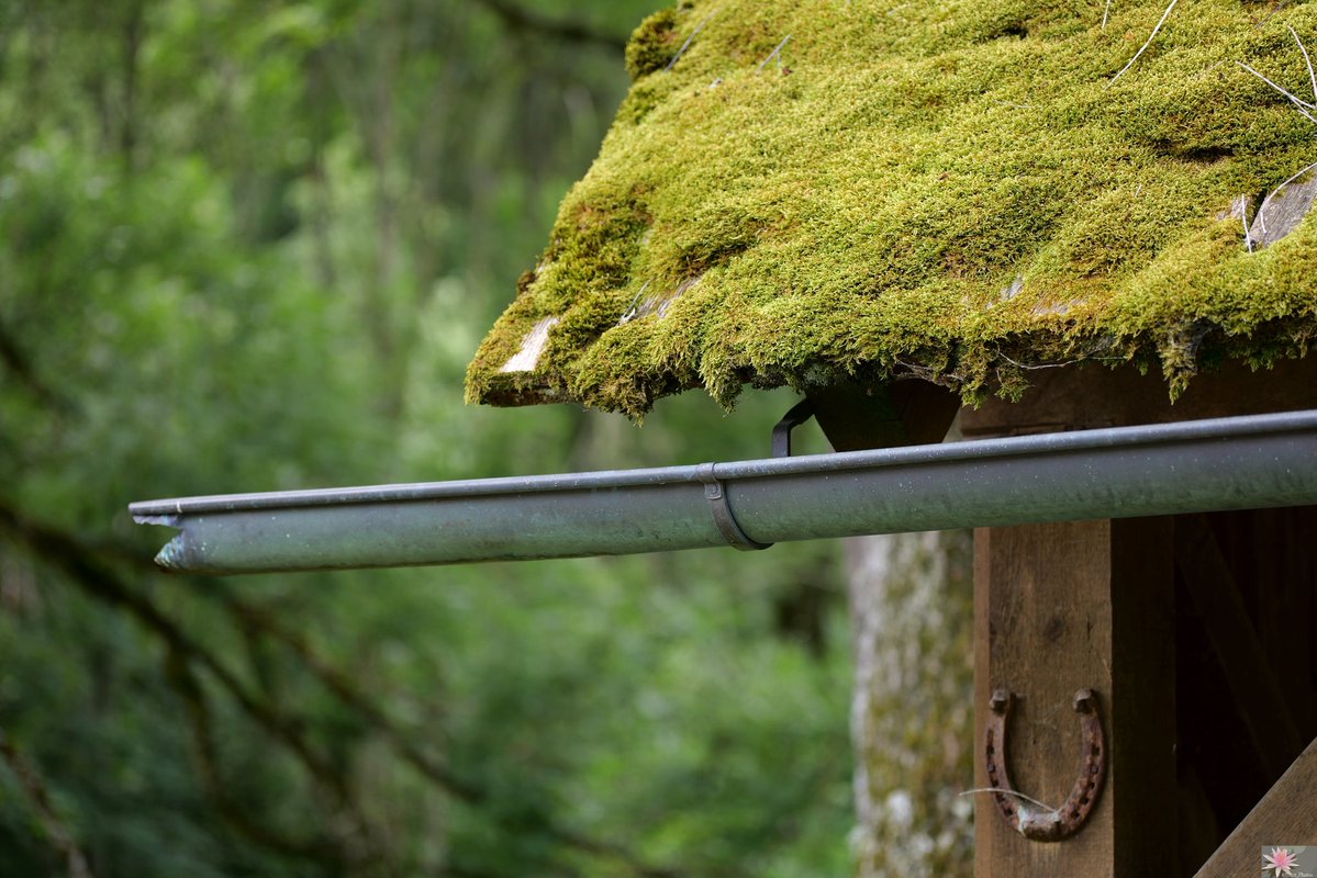 Point_Photos's tweet image. In nature - In der Natur - I nature - In de natuur - Nella natura - En la naturaleza - Dans la nature / (1/2)