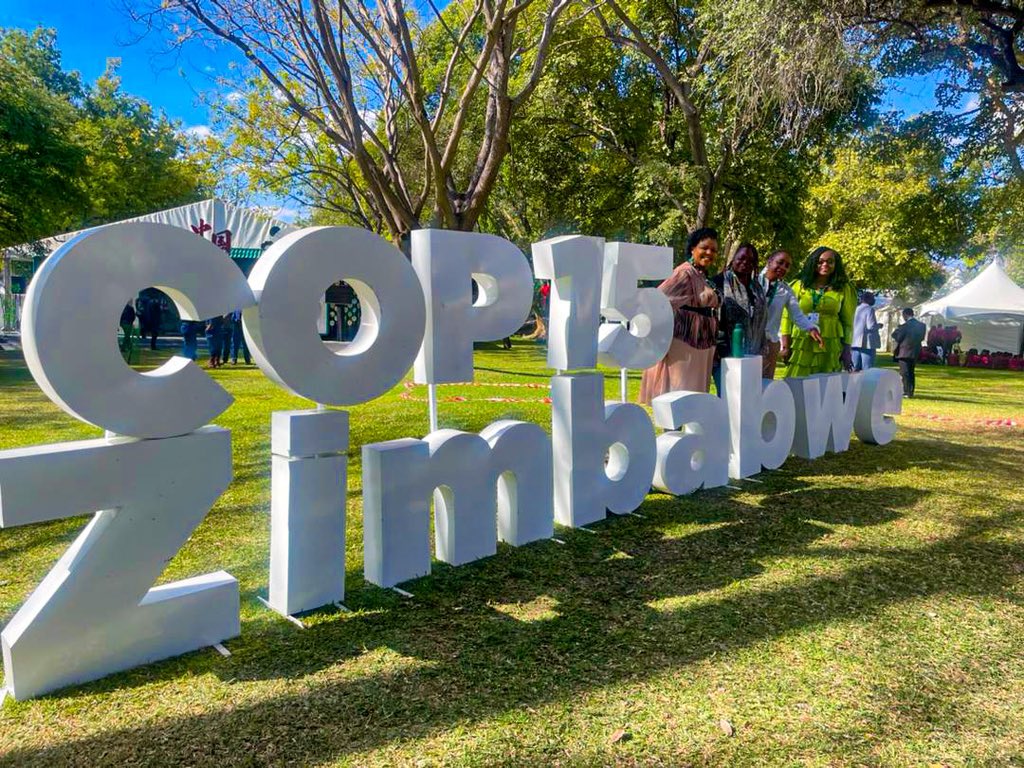 UNDPZambia's tweet image. 🌍 @ramsarconvention #COP15 in 🇿🇼 , President Mnangagwa calls wetlands essential 4 livelihoods, biodiversity & climate action!
@UNDPZambia & @mlnrzm64 launched Wetlands Guidelines for Zambia #22072025 & 🇿🇲’s @GEF_SGP & #SCRALA leads ‘re now repre’ UNDP 🇿🇲 in this dialogue.