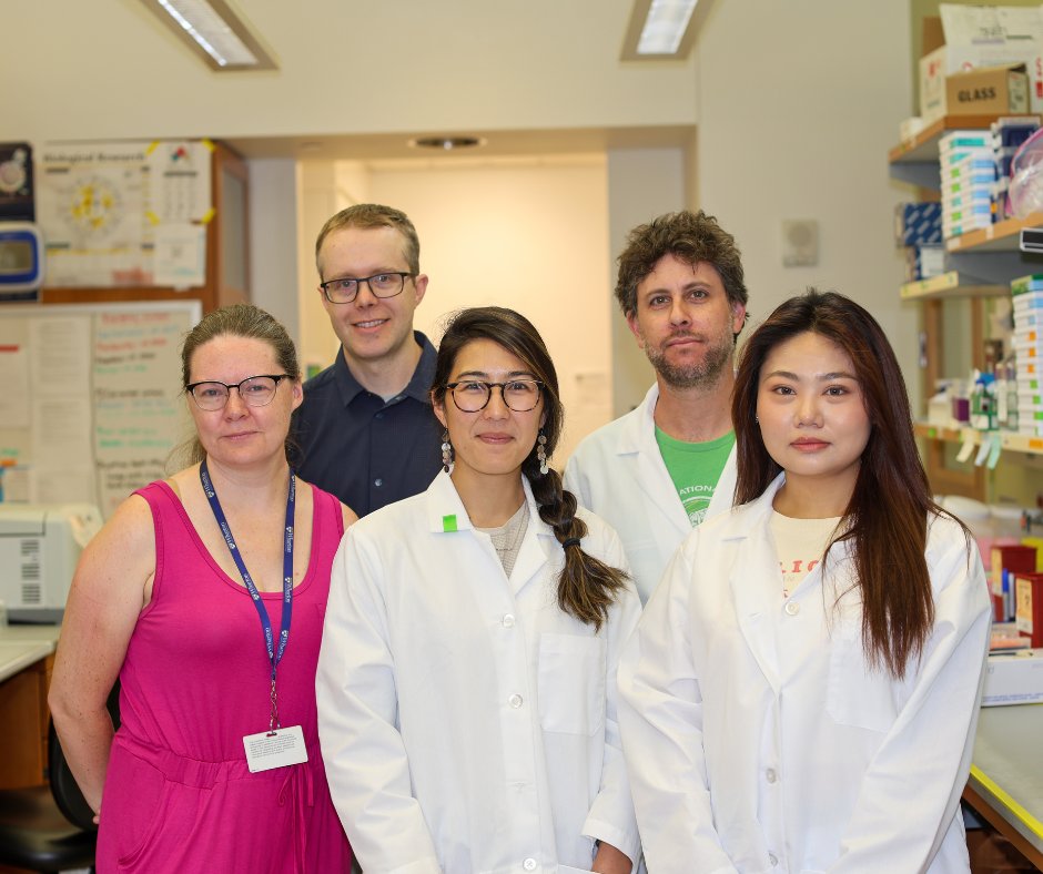 Penn Engineering (@pennengineers) on Twitter photo Penn engineers & dentists are collaborating to show that our teeth hold key information for understanding rare craniofacial disorders.
Combining materials science (<a href="/MSEatPenn/">Materials Science and Engineering at Penn</a>), mineralogy & human genetics, their work reveals insights into enamel & dentin development, with Penn engineers & dentists are collaborating to show that our teeth hold key information for understanding rare craniofacial disorders.
Combining materials science (<a href="/MSEatPenn/">Materials Science and Engineering at Penn</a>), mineralogy & human genetics, their work reveals insights into enamel & dentin development, with