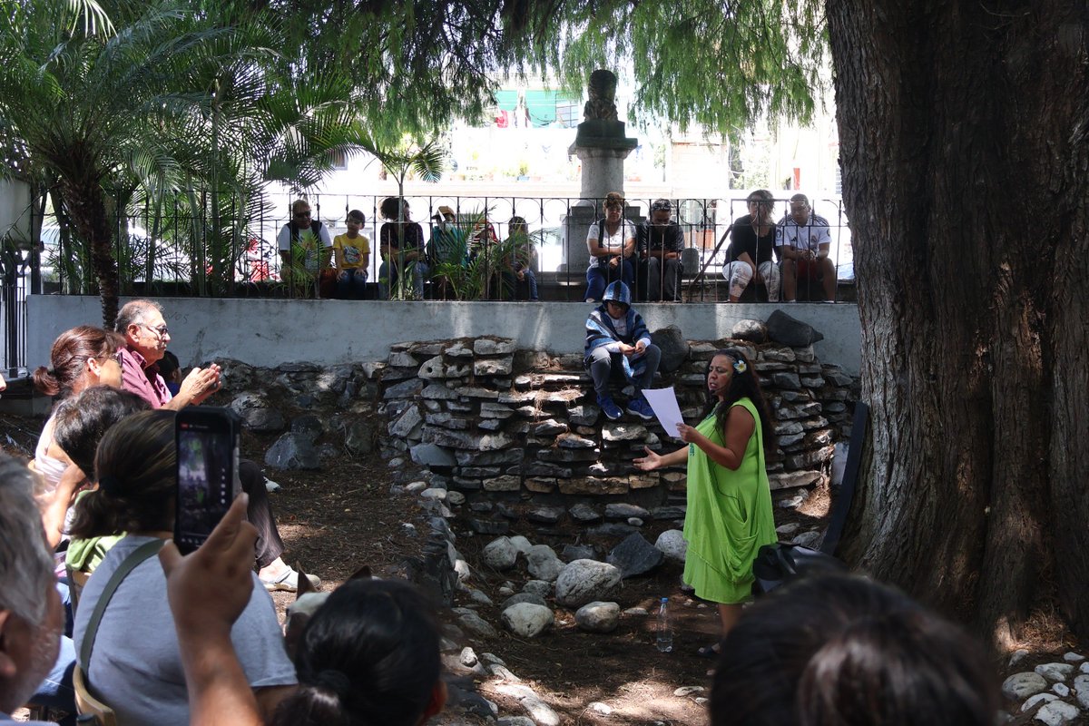 ¡El Viejo Ahuehuete tiene una historia que contarte! Ven a descubrir la magia de los árboles, las raíces de nuestras leyendas y el poder de la palabra con "La Leyenda del Viejo Ahuehuete"
🗓️  26 de julio de 2025 ⏰ 11:00 a.m.
📍 Parque del Ahuehuete, Atlixco