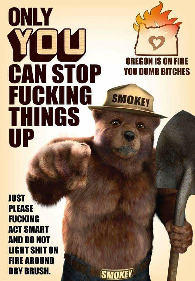 TreeHouseReal's tweet image. Hey you! Ya... YOU!