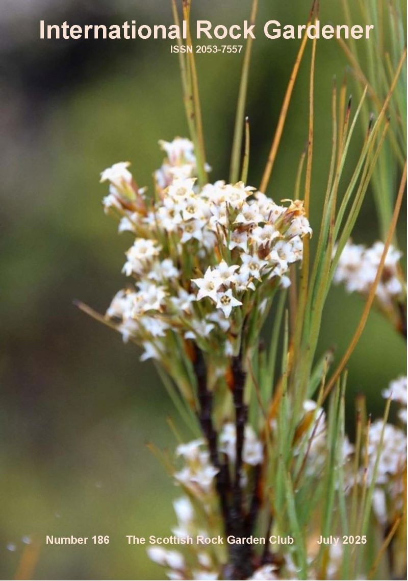 Click here to download IRG 186, free: srgc.net/documents/irg/… 
Includes articles from Alan Ayton on the plants of Tongariro  NP in New Zealand and new sites  found for some Violas in Chile from  Jaime Espejo et al.
Cover image: Dracophyllum filifolium - photo Alan Ayton.
