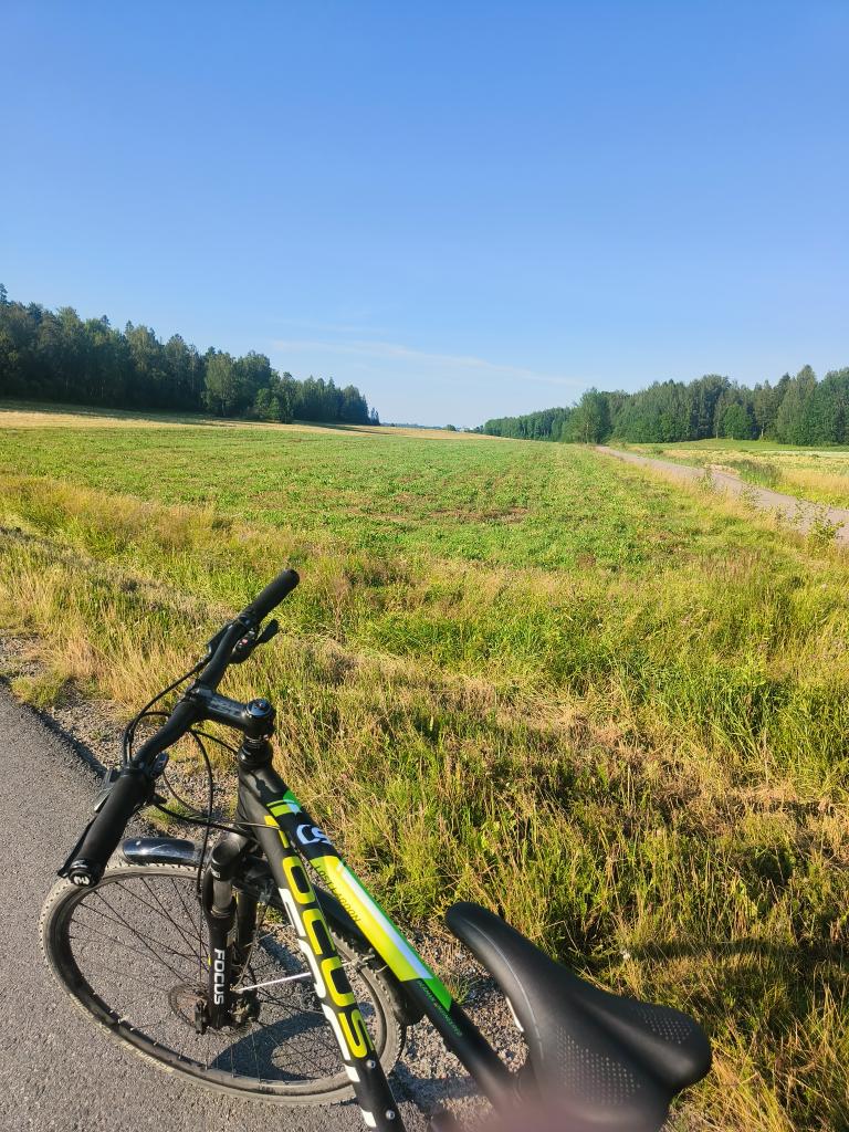 Finnish summer really is something else. Go out and touch some grass