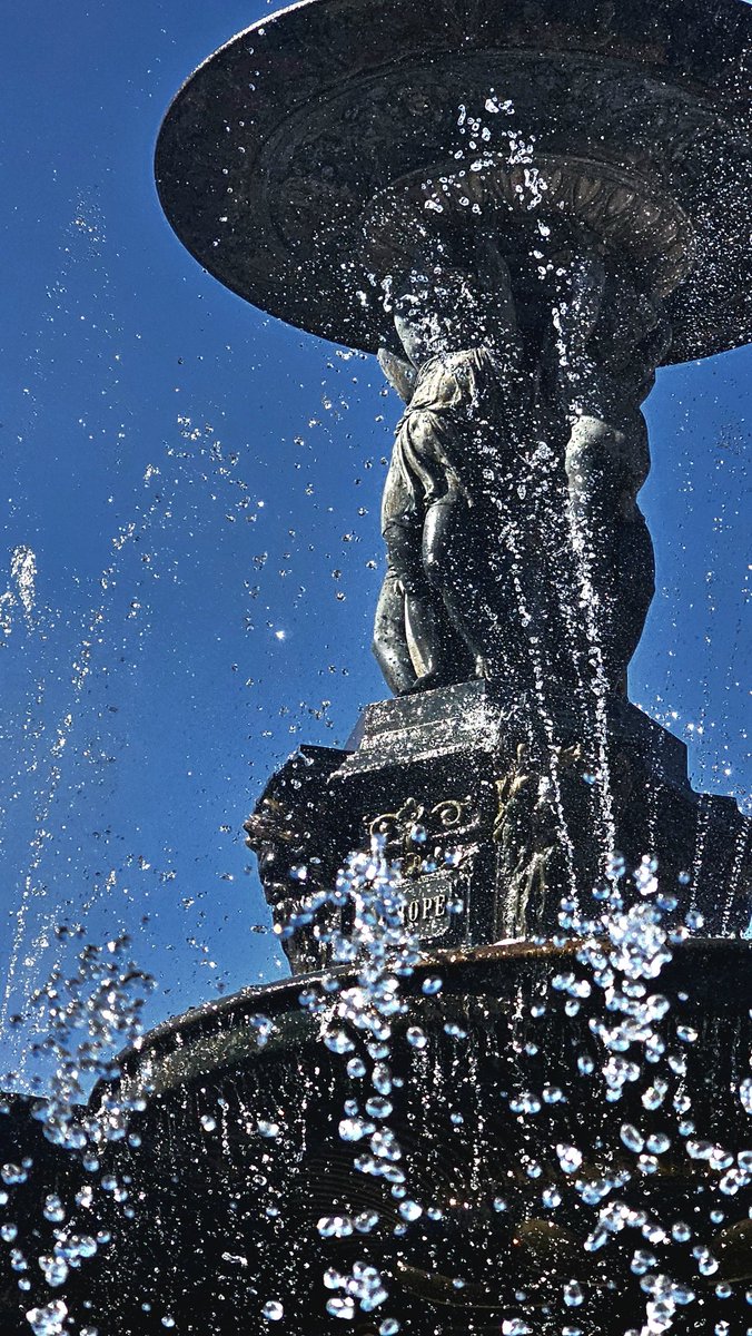LuisPujolmza's tweet image. Hoy salí a cazar algunas fotos mientras corría.
