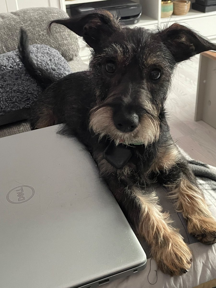 karin baine (@karinbaine1) on Twitter photo 