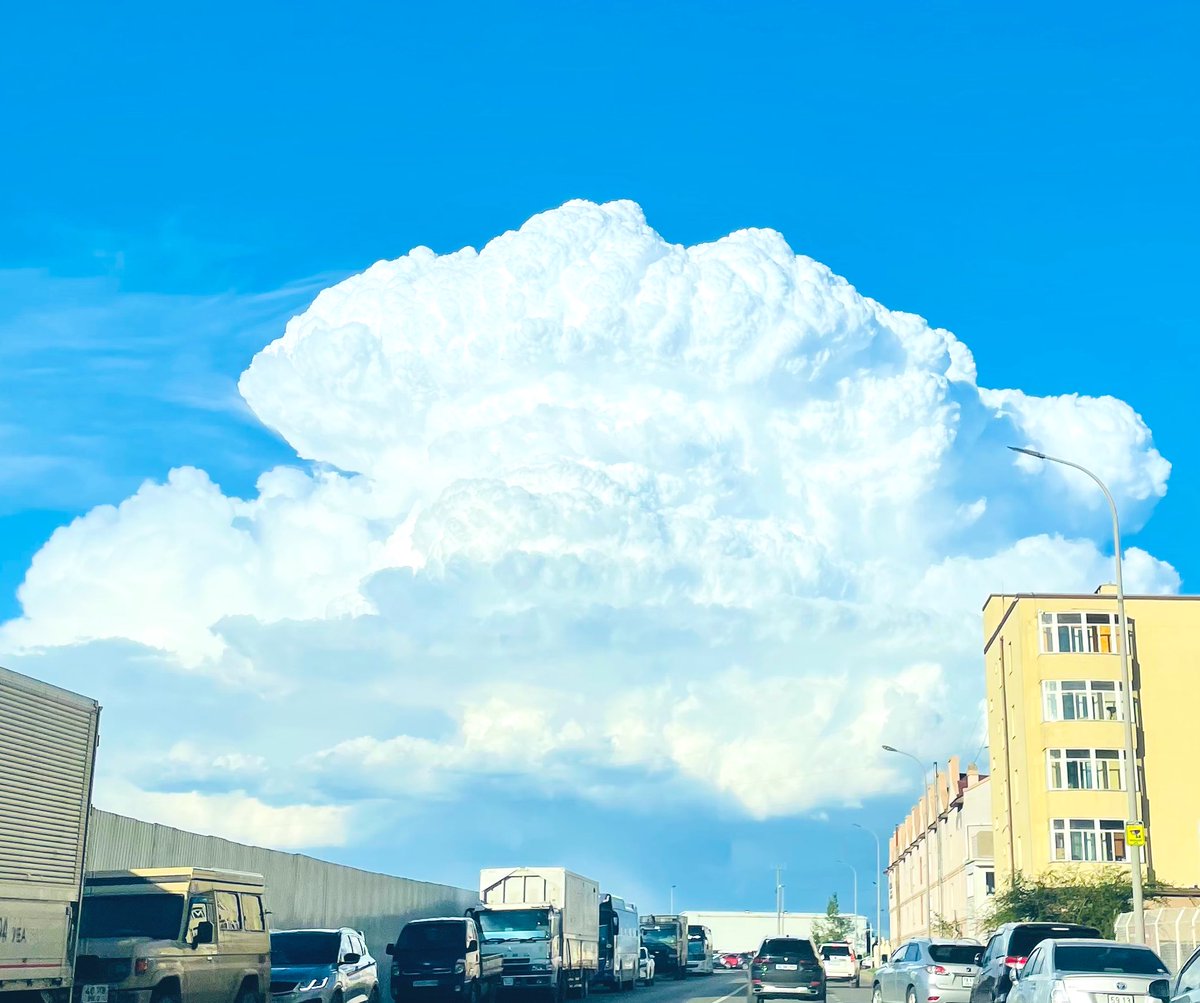 Энэ нөхөр л овоо хур хайрлаж дээ