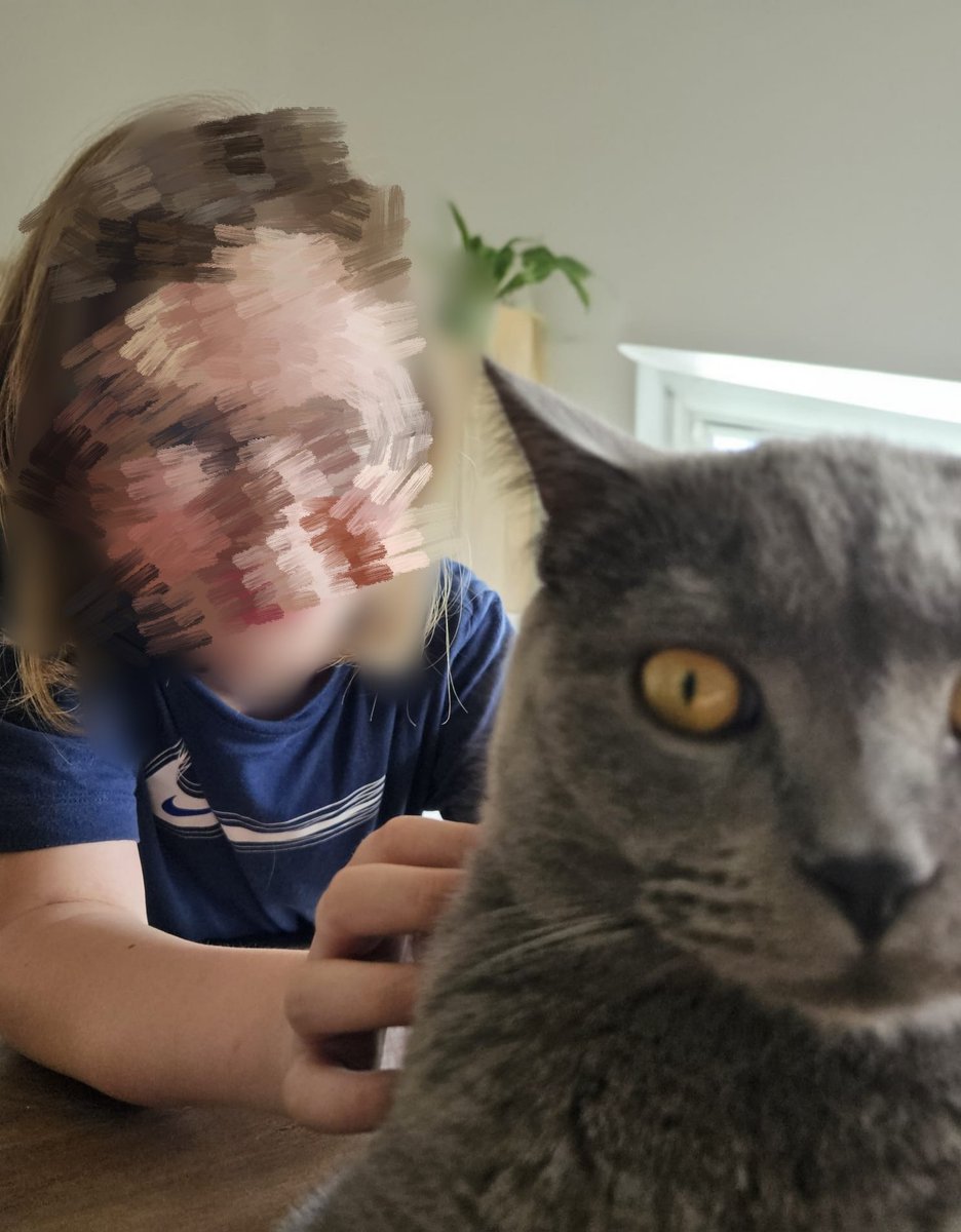 IceJJKech's tweet image. Was ist dieses Bild von meinem Cousin und seiner Katze 😭