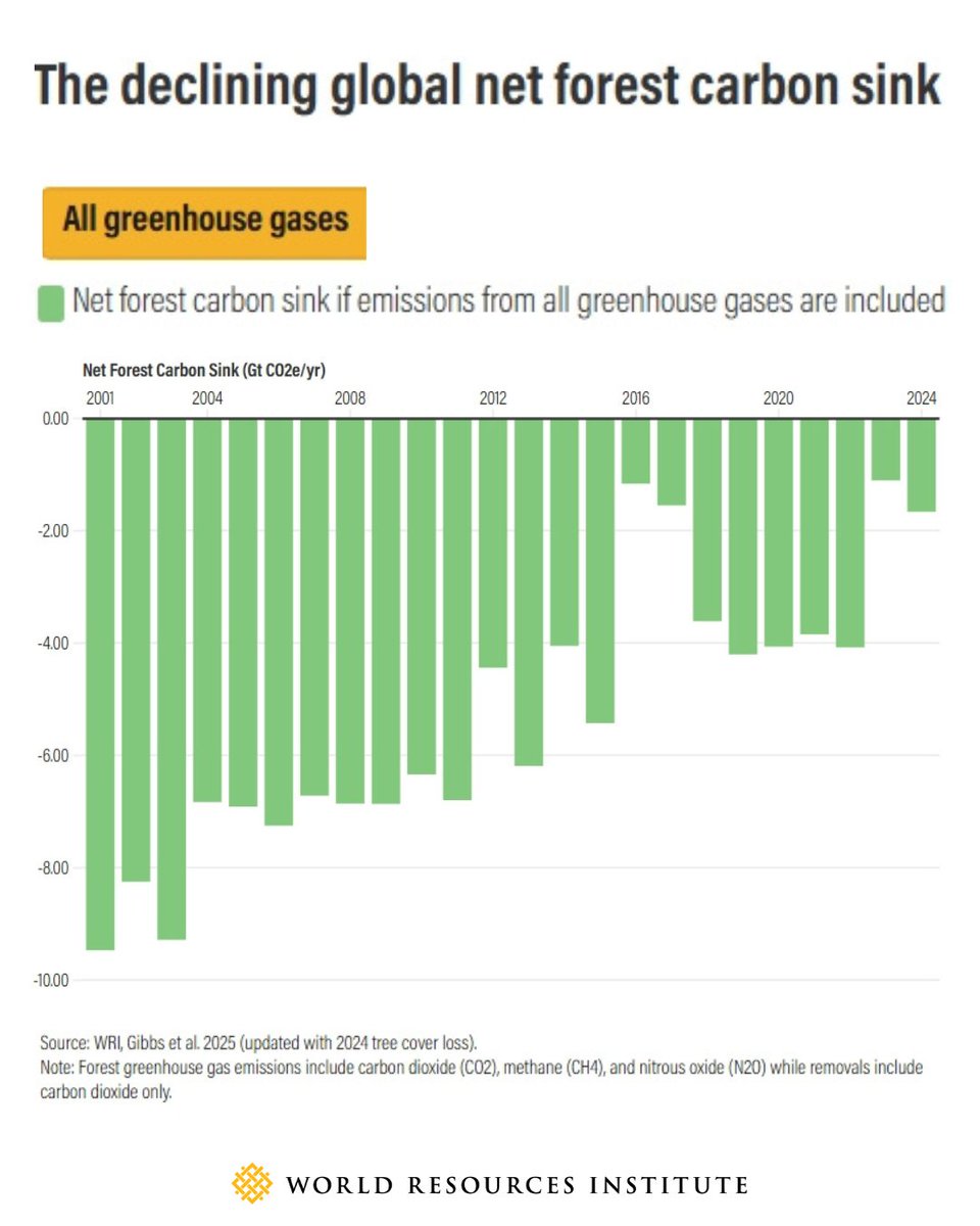 WorldResources's tweet image. 🌍 In 2023 & 2024, the world’s forest carbon sink hit its lowest point in 20+ years.
Fires & deforestation drove forests to absorb just 25% of their usual carbon — with parts of 🇨🇦 & 🇧🇴 flipping from sink to source.
The margin is narrowing fast.
➡️ go.wri.org/carbon-sink-tw…