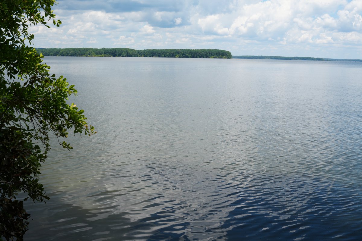 Here's some photos from my adventures this past weekend out in the woods