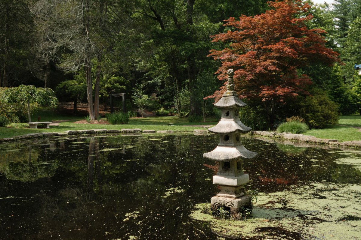 ry (@rywithacat) on Twitter photo 