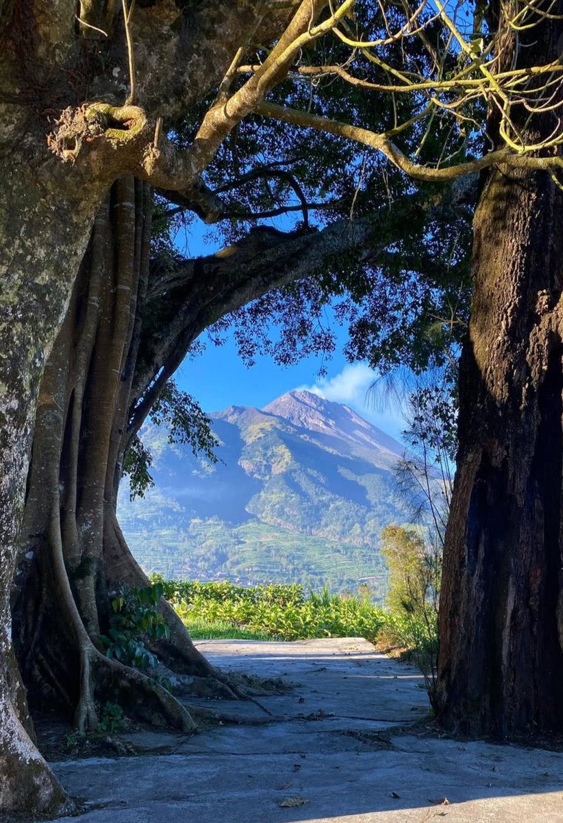 1 jam dari solo ada spot indah kaya gini -lur

Foto : ferlywirnegara