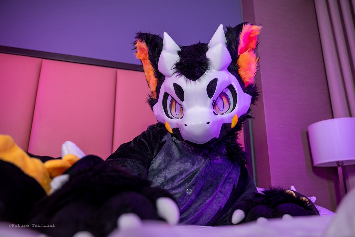 QDHfur's tweet image. Pat pat, time to rest 🌙
📸：@Future_Terminal
