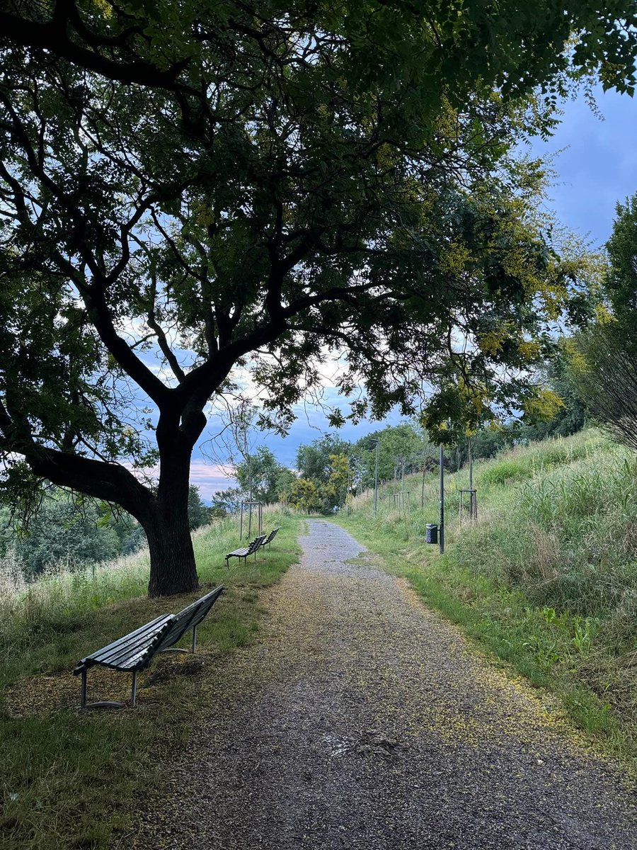 abdelrahman96n's tweet image. This is where I find peace.