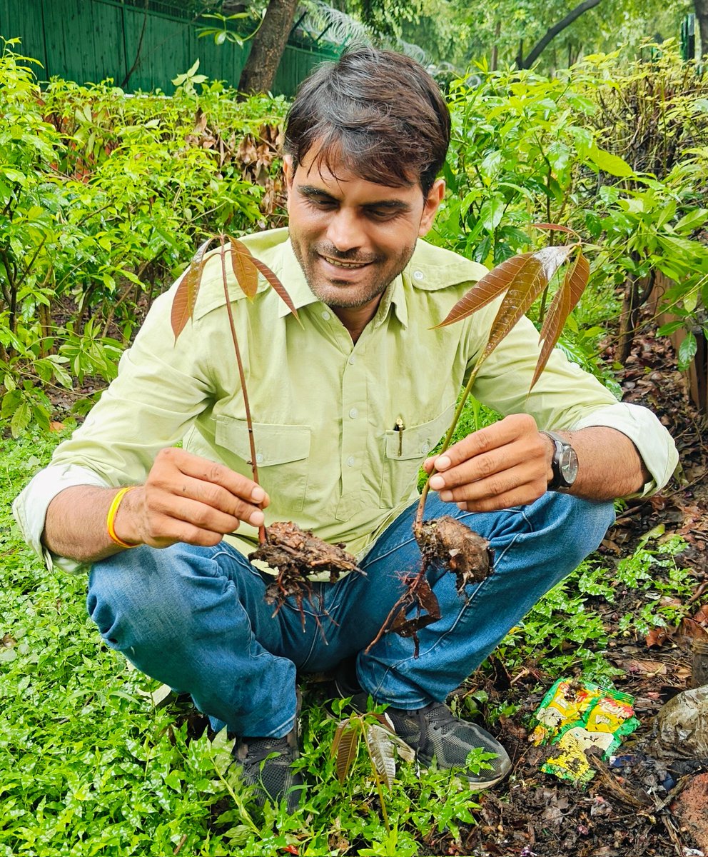 हरियाली अमावस्या की शुभकामनाएं । 🙏🤗

बचपन याद बहुत आता है,
यौवन रसघट भर लाता है,
 
बदला मौसम, ढलती छाया,
रिसती गागर, लुटती माया,
 
सब कुछ दांव लगाकर घाटे का व्यापार हुआ।
नए मील का पत्‍थर पार हुआ। - अटल जी।
#VishnuLamba #HariyaliAmavasya #Atalji