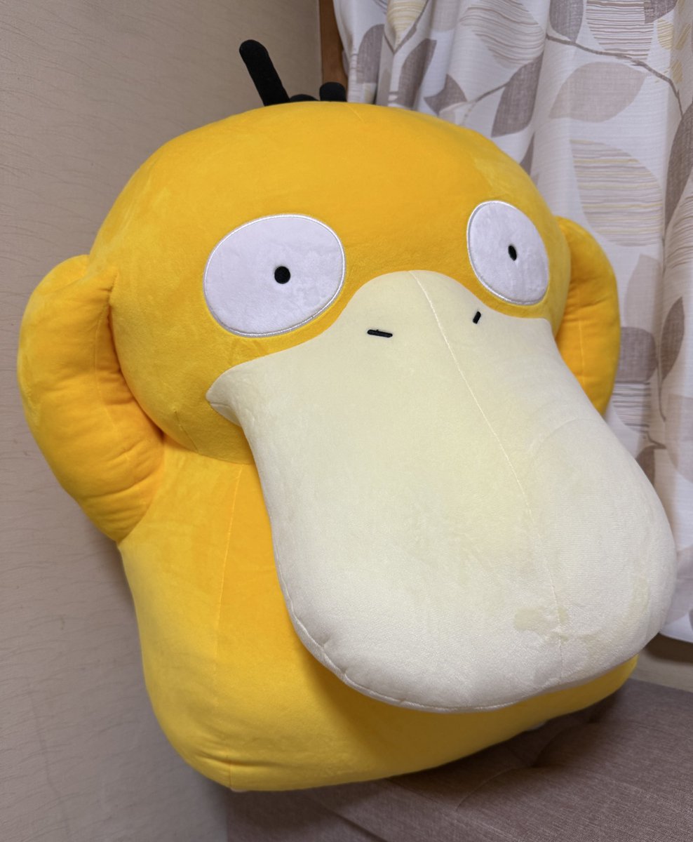 lojm_rip's tweet image. 天国すぎるーーー行きたすぎて頭抱えている😭😭😭