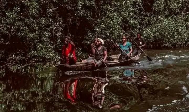 DiriAmos's tweet image. Despite the usual oil spillages on our waters and lands, the Ijaw people are never deterred from picking periwinkles.
It is an age long culture and practice in Ijaw land.
We are not lazy, idle or fiddle.
We are strong, resilient and courageous.