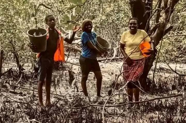 DiriAmos's tweet image. Despite the usual oil spillages on our waters and lands, the Ijaw people are never deterred from picking periwinkles.
It is an age long culture and practice in Ijaw land.
We are not lazy, idle or fiddle.
We are strong, resilient and courageous.
