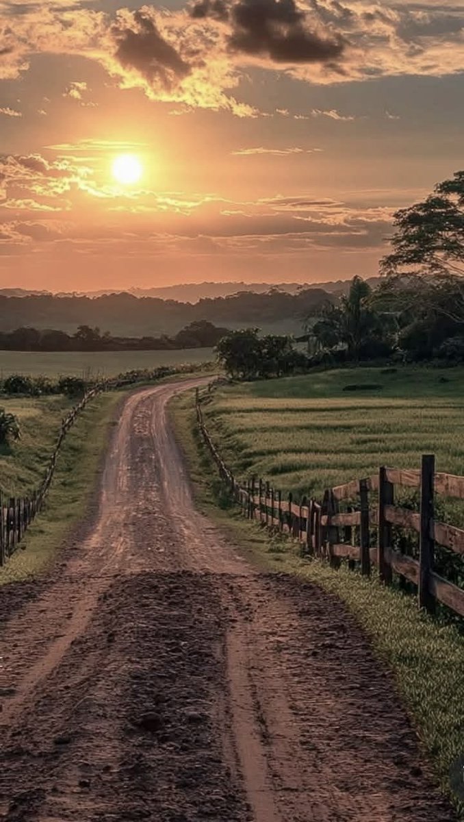 storm987108's tweet image. The path may seem beautiful but hides its challenges beneath a calm surface, calling for courage to face what lies beyond the view.